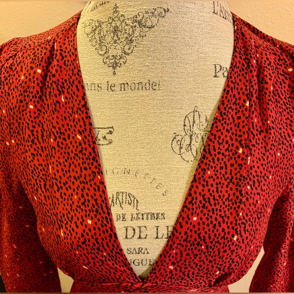 LN ZARA RUCHED FRONT DRESS. FULLY LINED. HIDDEN BACK ZIPPER. DRESS IS FITTED. - Picture 4 of 16